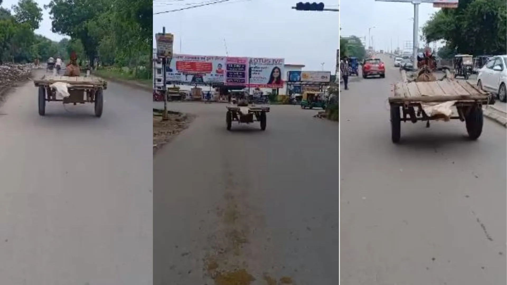 जरा हटके...जरा बचके...बिना तांगा चालक के 'घोड़ा' सरपट दौड़ा, देखें VIDEO