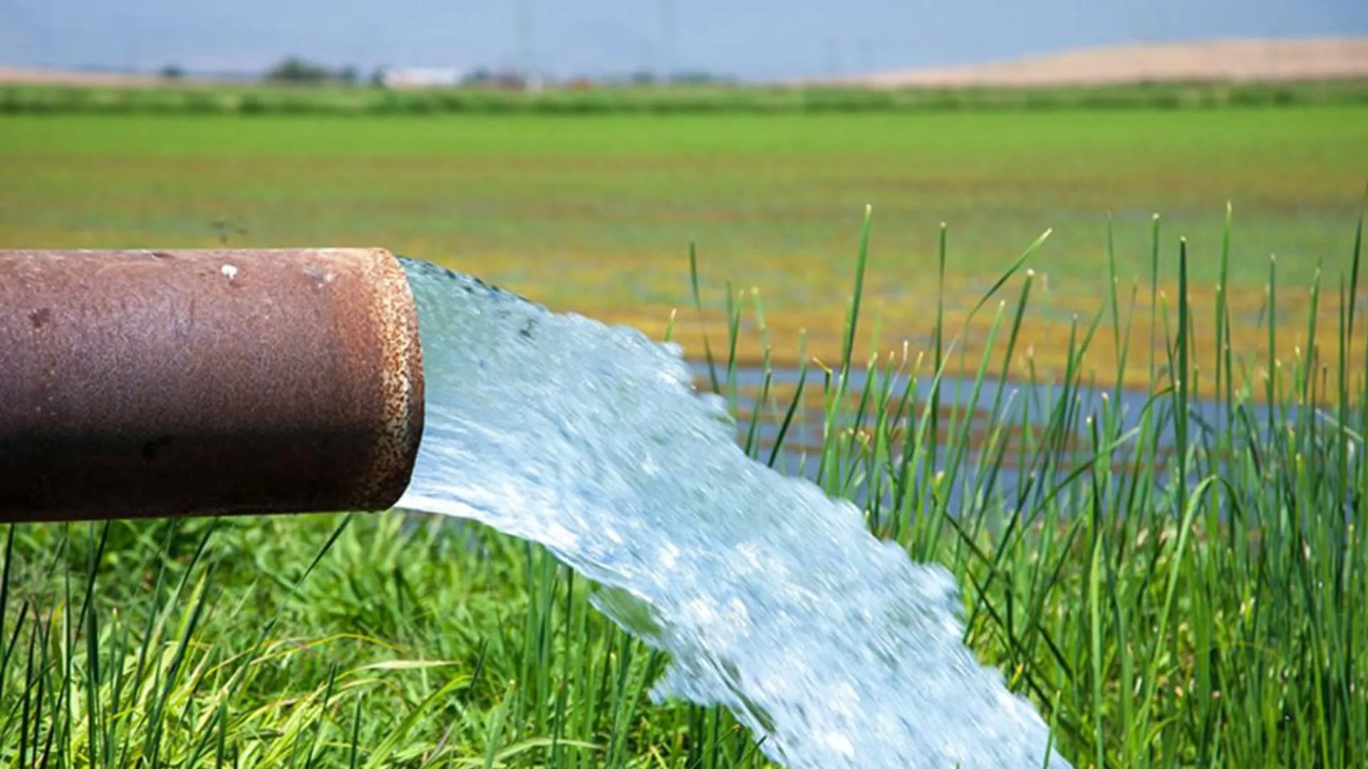 बरेली: 630 करोड़ पर फिर गया पानी, बदायूं सिंचाई परियोजना को अब बंद मानिए