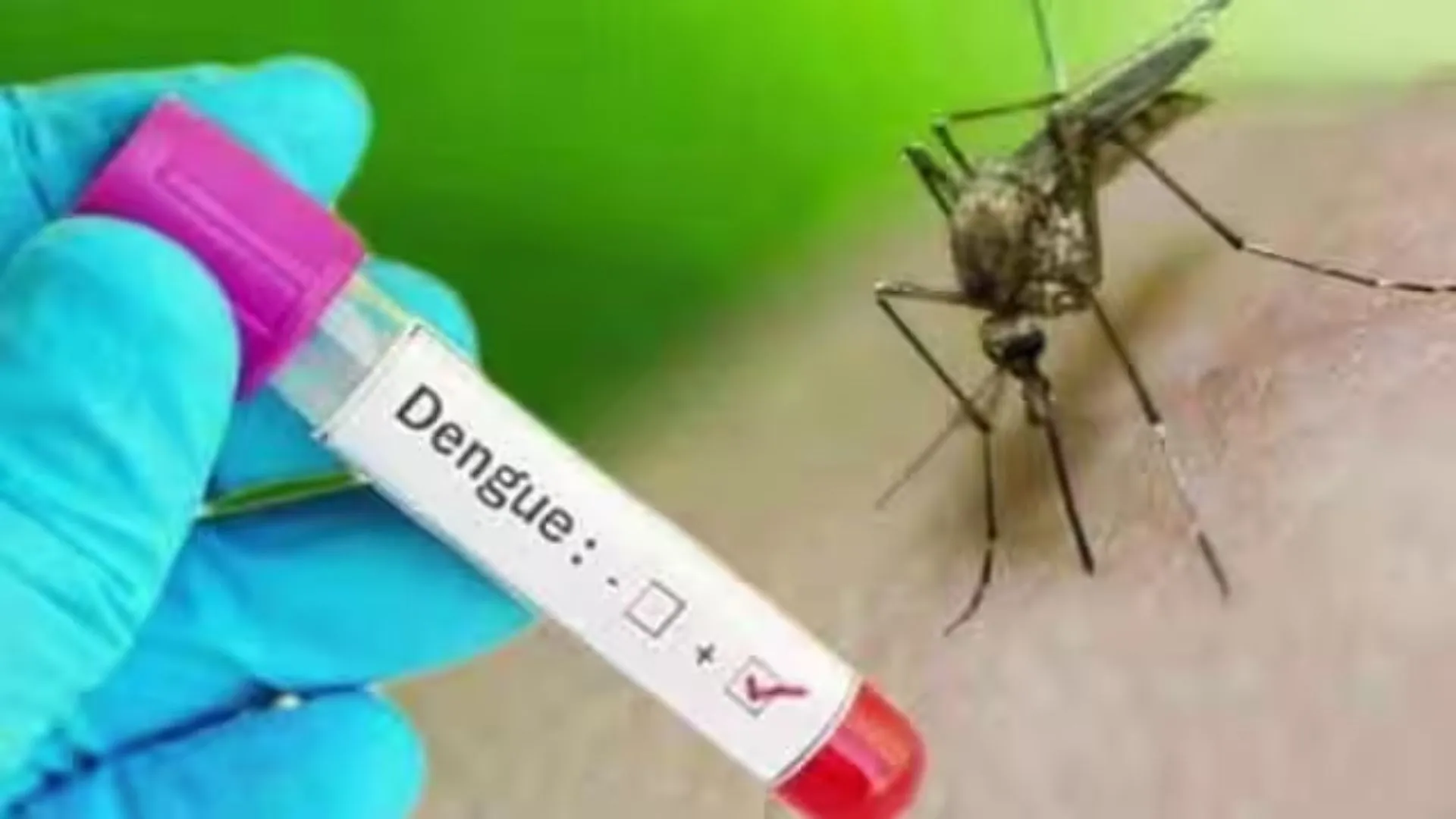 बरेली: डेंगू मरीजों की सूचना न देने वाले निजी अस्पतालों पर होगी कार्रवाई