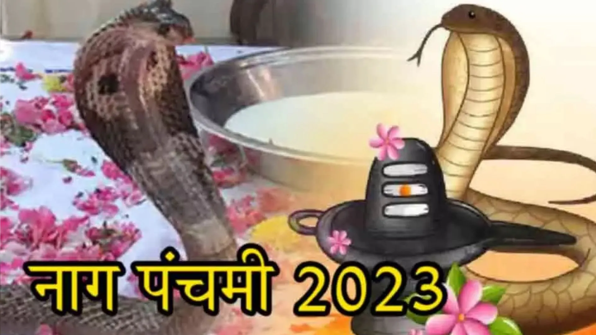 Nag Panchami 2023: कब है नाग पंचमी? इस दिन भूलकर न करें ये काम, जानें शुभ मुहूर्त और पूजा विधि