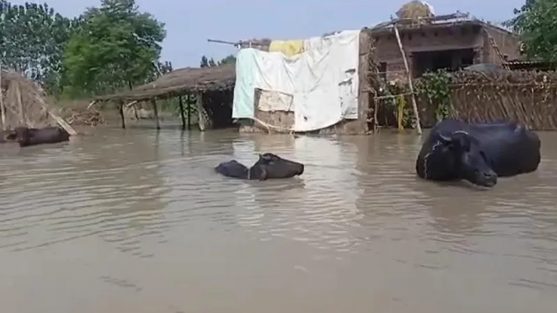 अमरोहा: जिले के कई गांवों में घुसा नदी का पानी, सुरक्षित स्थानों पर जा रहे लोग  