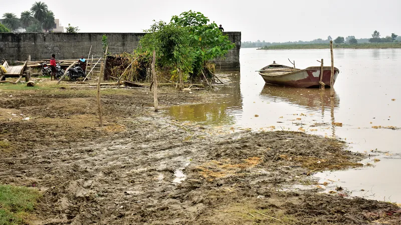 मुरादाबाद: रामगंगा नदी का जलस्तर कम, मुश्किलें बरकरार...खेतों में फसल जलमग्न 