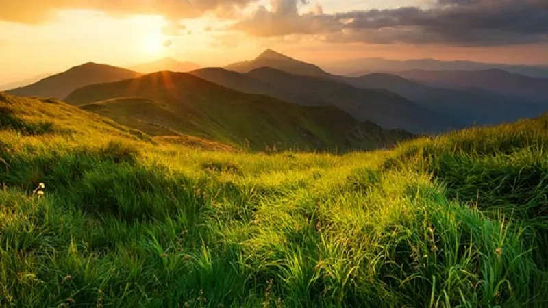 प्रकृति को महत्व देने वाले जलवायु कार्रवाई में होंगे ज्यादा संलग्न, लेकिन अधिक चिंता ठीक नहीं 