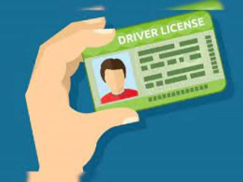 काशीपुर: यूक्रेन में ड्राइविंग लाइसेंस बनाने के नाम पर की धोखाधड़ी