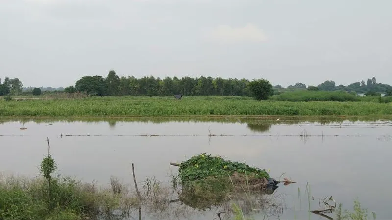 Flood In Kannauj: बाढ़ ने गुल कर दी गांवों की बत्ती, ग्रामीणों की बढ़ी दुश्वारियां, जानें- जलस्तर की वर्तमान स्थिति