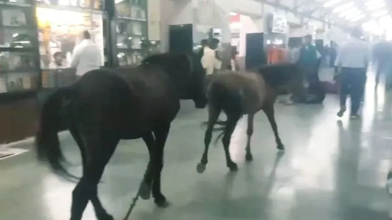 Kanpur Central Station के प्लेटफॉर्म में अचानक दौड़ने लगे घोड़े, यात्रियों में मची अफरा-तफरी, ऐसे घुसे अंदर
