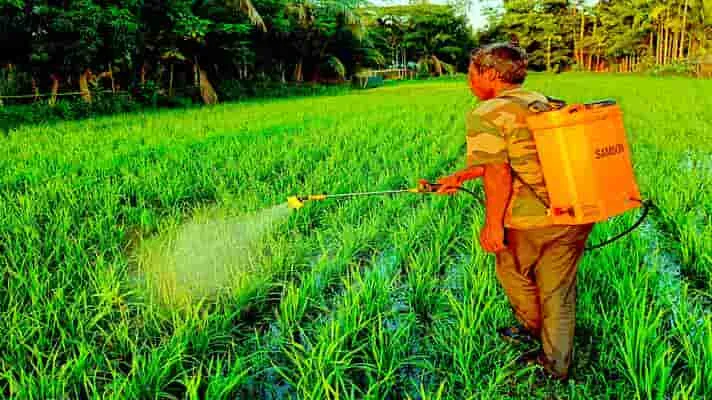 पीलीभीत: औद्यानिक फसलों के लिए लक्ष्य आवंटित, किसानों को मिलेगा अनुदान.. प्रशिक्षण देकर करेंगे तैयार