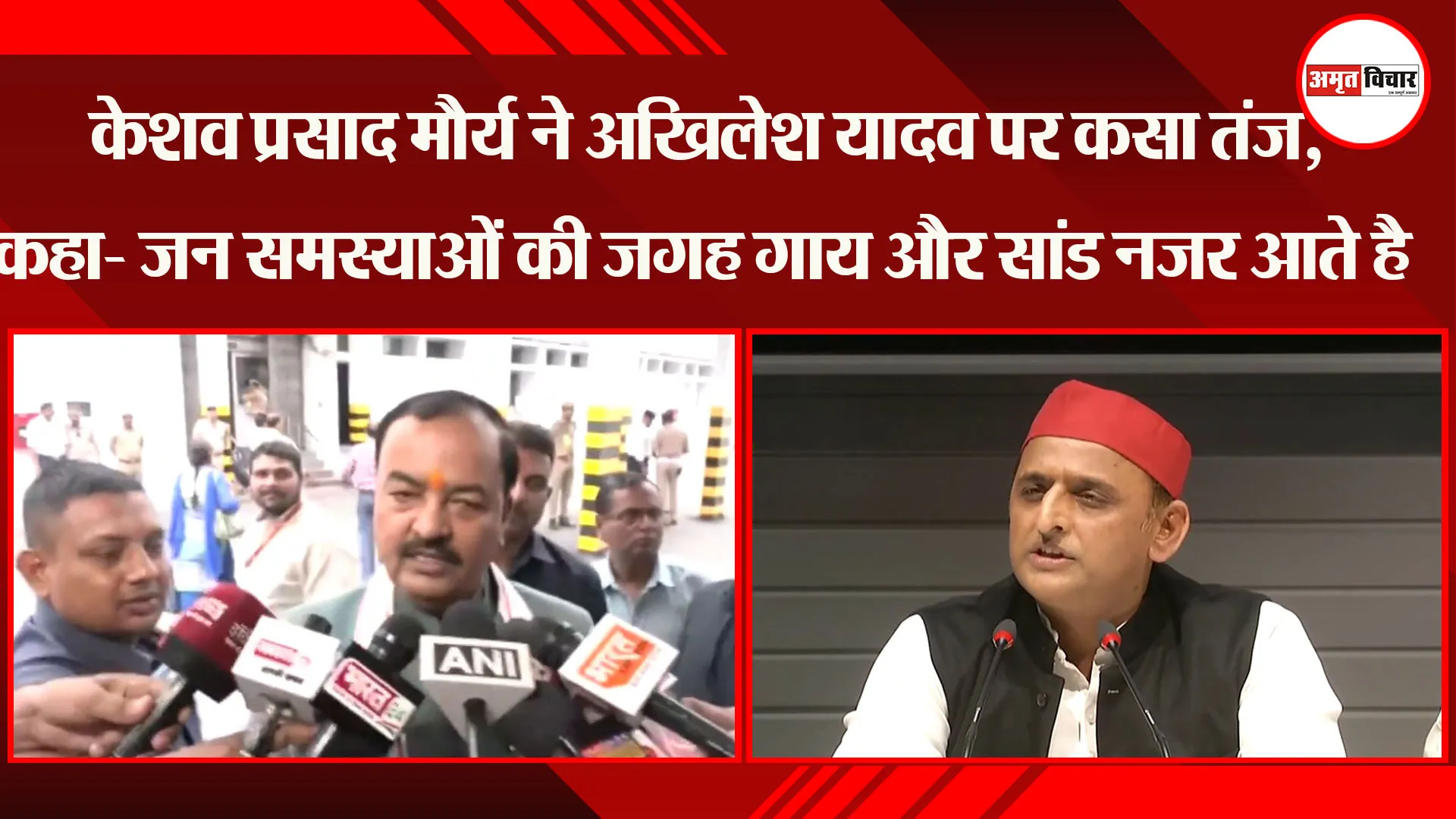 लखनऊ: केशव प्रसाद मौर्य ने Akhilesh Yadav पर कसा तंज, कहा- जन समस्याओं की जगह गाय और सांड नजर आते है