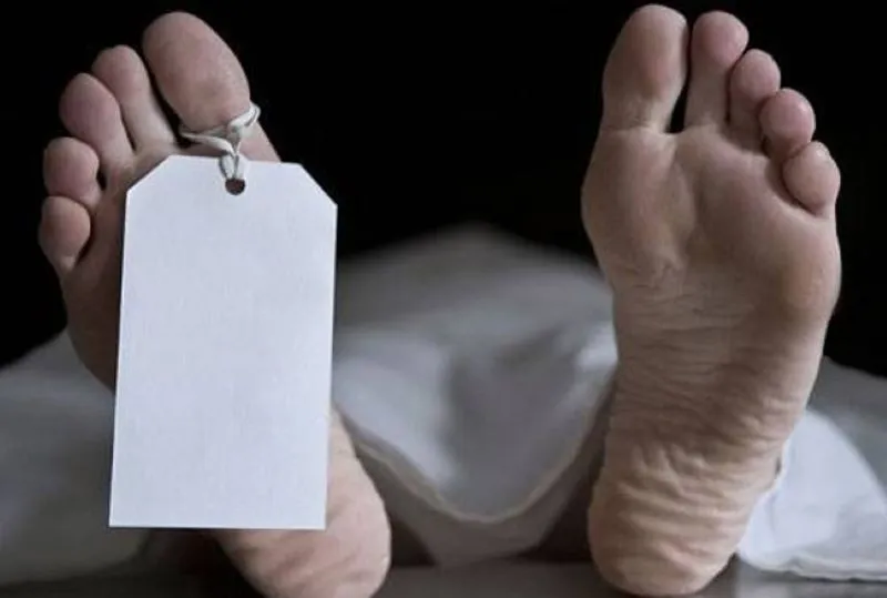 नैनीताल: पोल को छूने से लगा करंट, शिक्षक की हुई मौत 