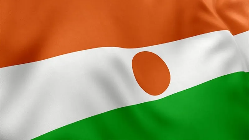 नाइजर सेना ने की मंत्रियों की नियुक्ति, वार्ता से किया इनकार... जानिए पूरा मामला 