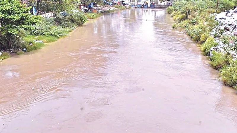 Kanpur News : पनकी नहर का पानी पीने के लायक नहीं, 10 लाख लोग पीते है, जानें- इसकी वजह 