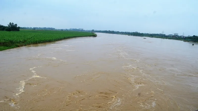 मुरादाबाद: पहाड़ी और मैदानी क्षेत्रों में बारिश से रामगंगा नदी ऊफनाई, बाढ़ चौकियों को किया अलर्ट