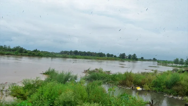 मुरादाबाद: रामगंगा नदी का बढ़ा जलस्तर, खेतों तक पहुंचा पानी
