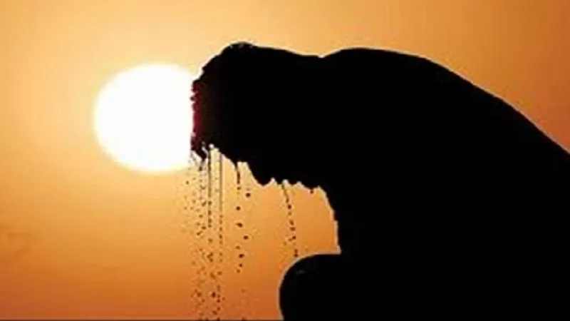 मनुष्यों के लिए कितनी खतरनाक हो सकती है भीषण गर्मी? वैज्ञानिक से समझें