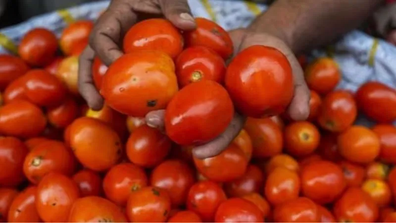 महंगाई की मार: थाली से दूर हुई सब्जी व सलाद, टमाटर पहुंचा 200 रुपये किलो, अन्य सब्जियों के दाम भी छू रहे आसमान