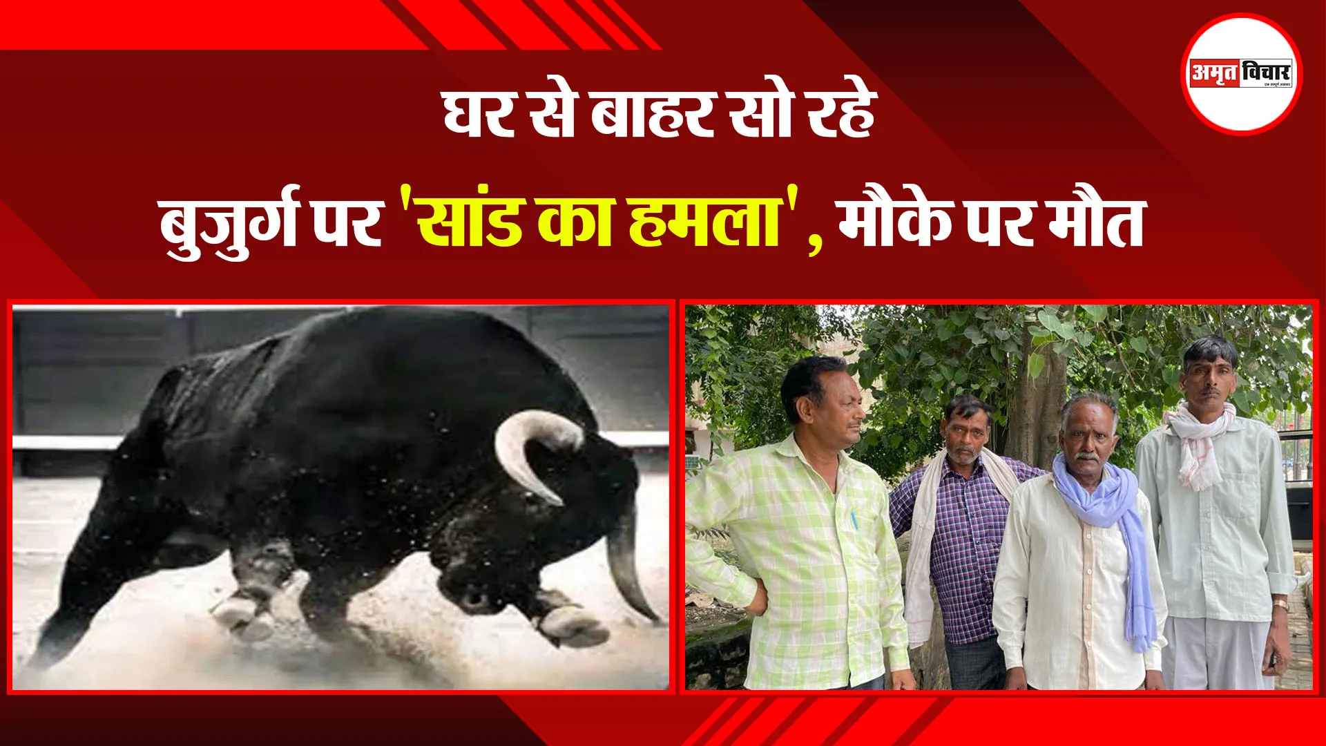 बरेली: घर से बाहर सो रहे बुजुर्ग पर 'सांड का हमला', मौके पर मौत