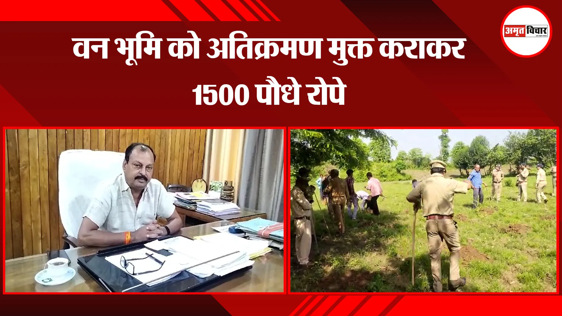 हल्द्वानी: वन भूमि को अतिक्रमण मुक्त कराकर 1500 पौधे रोपे 