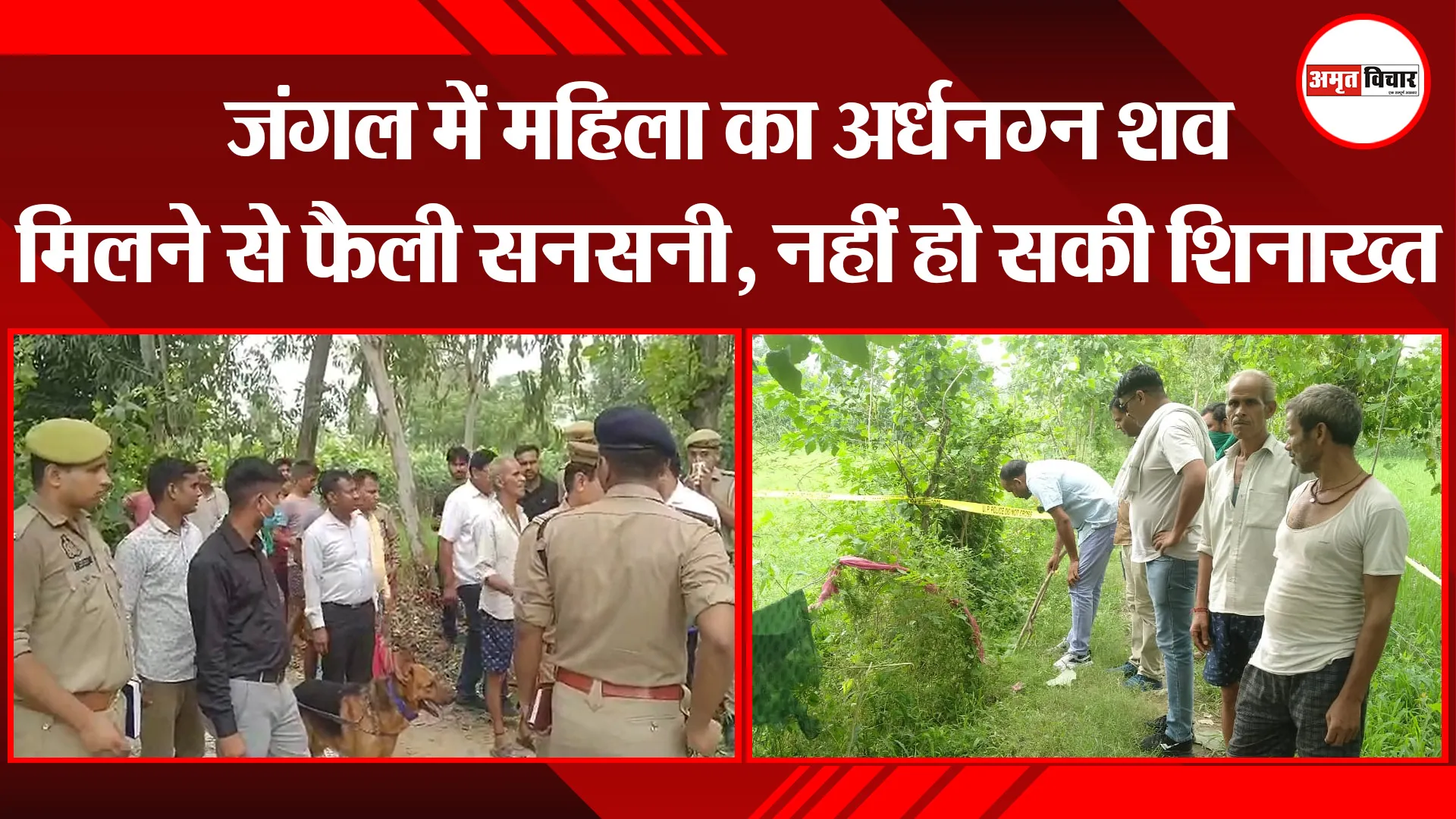 बरेली: जंगल में महिला का अर्धनग्न शव मिलने से फैली सनसनी, नहीं हो सकी शिनाख्त