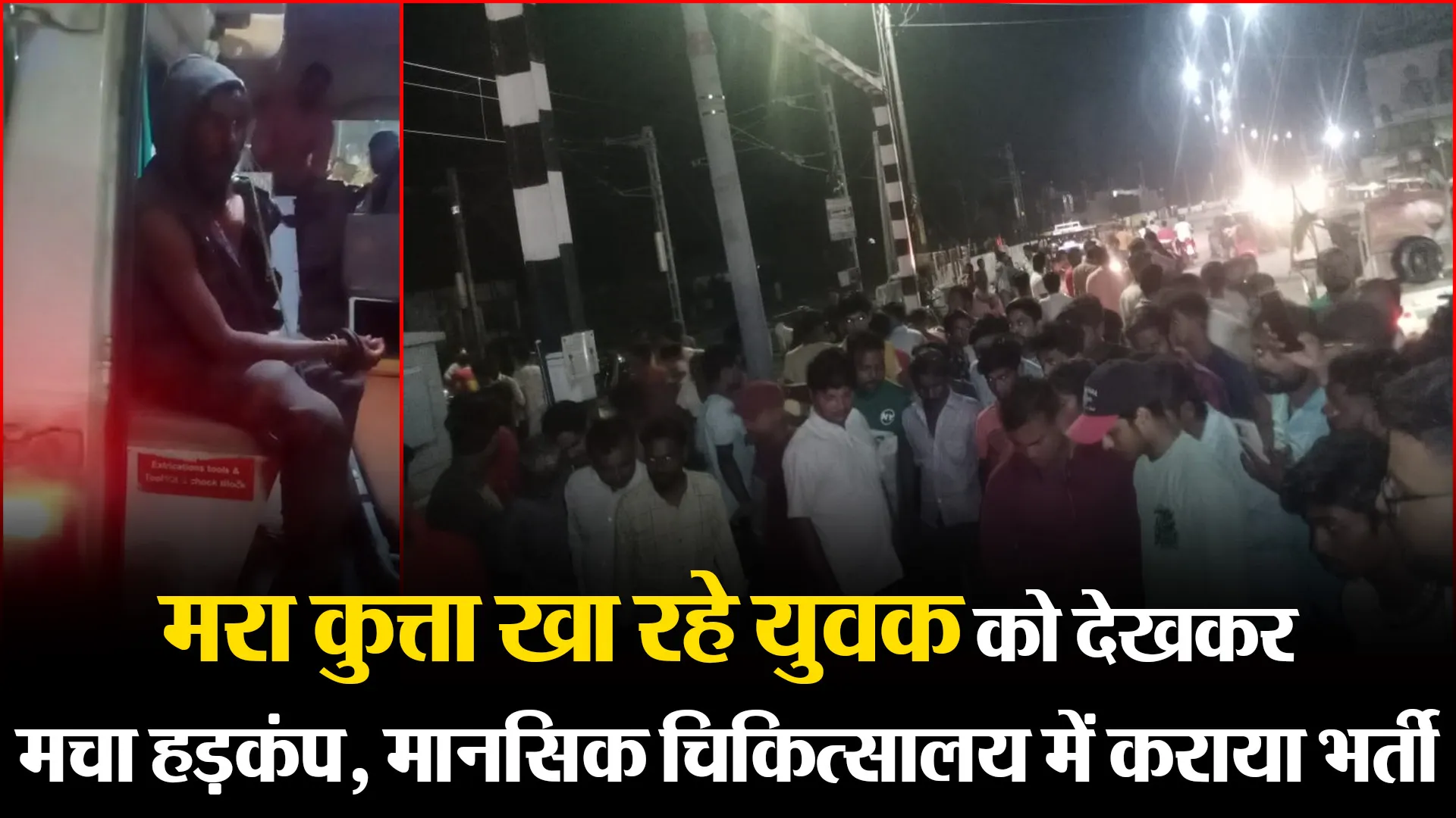 बरेली: मरा कुत्ता खा रहे युवक को देखकर मचा हड़कंप, मानसिक चिकित्सालय में कराया भर्ती