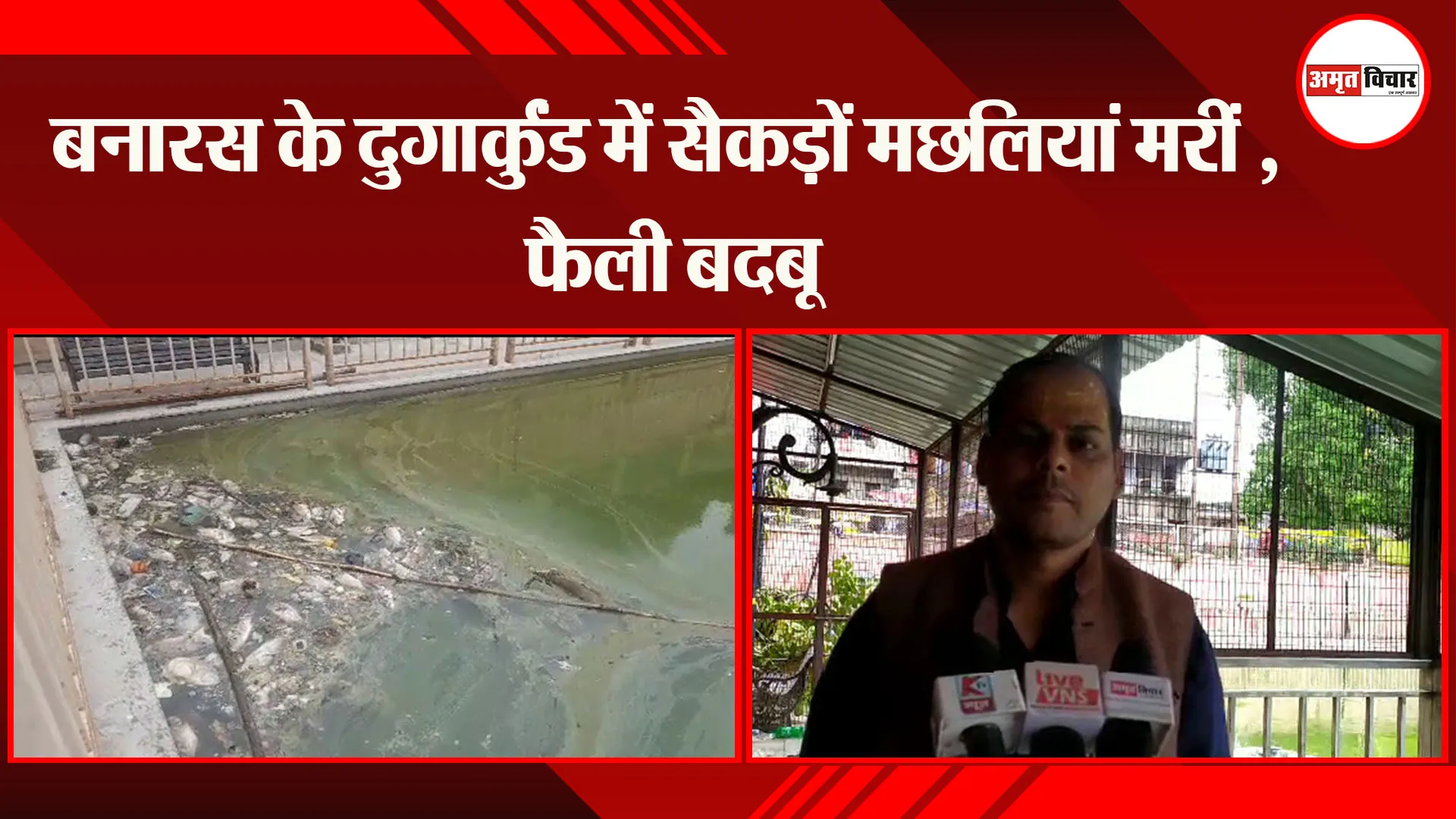 बनारस के दुर्गाकुंड में सैकड़ों मछलियां मरीं , फैली बदबू