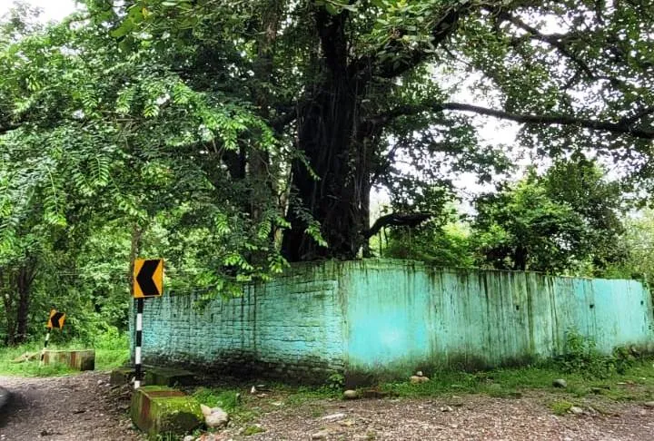 रामनगर: वन विभाग ने भूरे शाह मजार को किया जमीदोंज