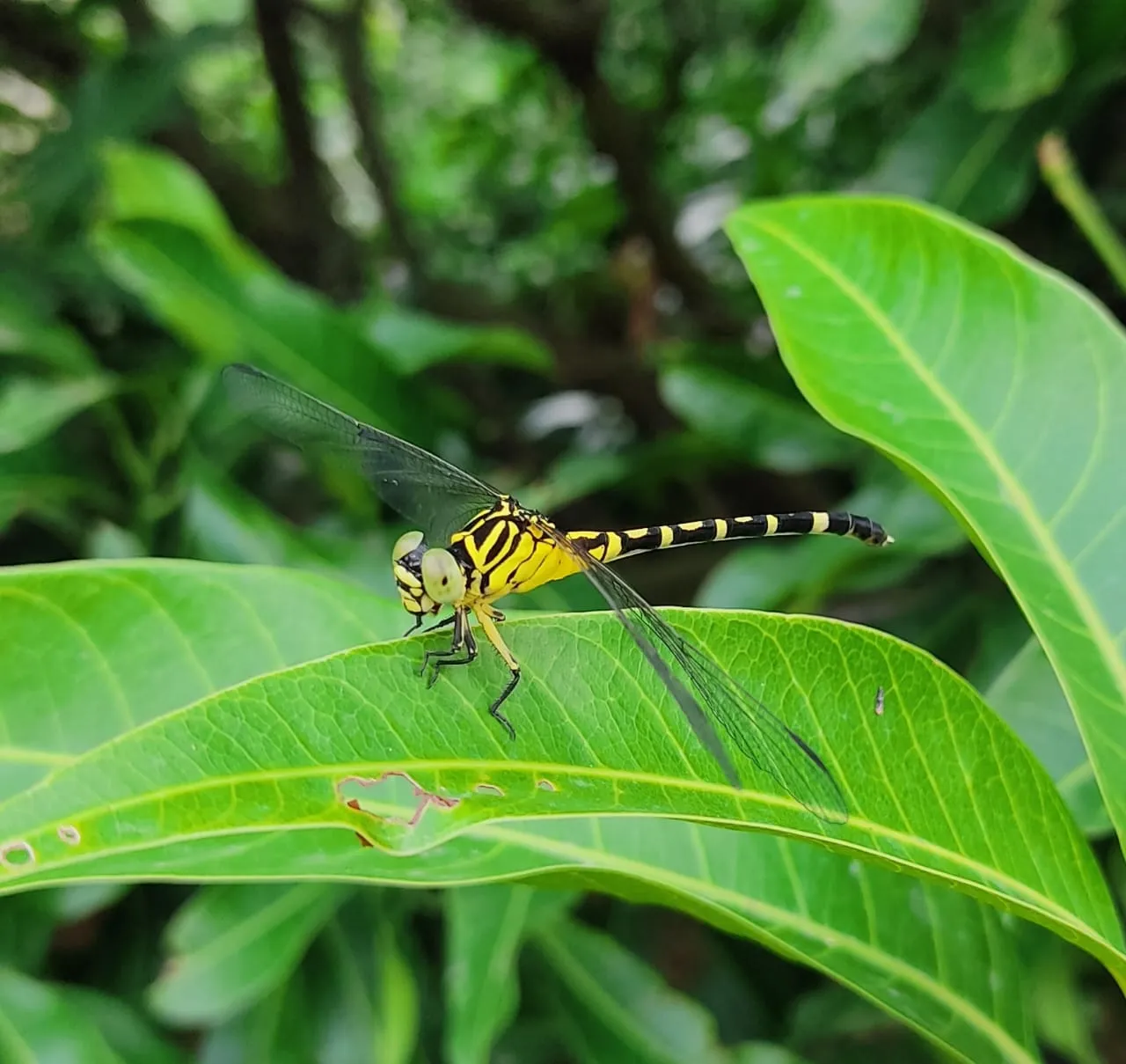 WhatsApp Image 2023-08-19 at 16.29.41