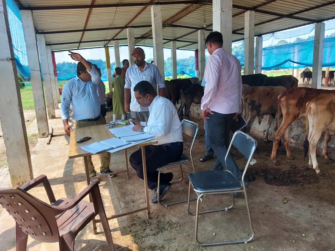 पीलीभीत: सूखा भूसा उठाकर अफसर बोले- इसमें चोकर और चारा कहां है? 