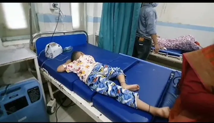 रामनगर: बच्चों को स्कूल छोड़ने जा रहे दंपत्ति व बच्चों पर मधुमक्खियों का हमला