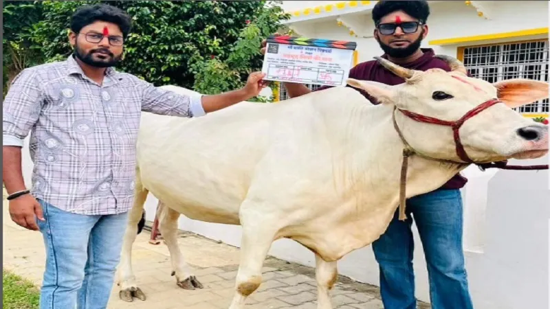 Bhojpuri: 'महमूद मियां की गाय' करेगी भोजपुरी सिनेमा मनोरंजन, फोटो हुईं वायरल