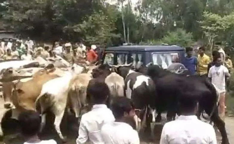 बरेली: आवारा पशुओं से परेशान ग्रामीणों ने कैबिनेट मंत्री धर्मपाल का रोका रास्ता, 40 मिनट तक फंसा रहा काफिला