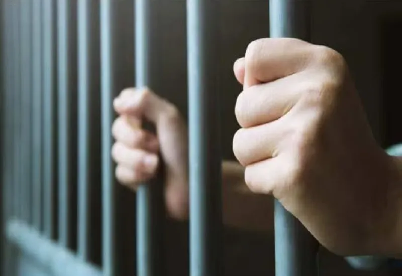 सिंगापुर में सरकारी अधिकारी पर हमला करने के मामले में भारतीय मूल की महिला को कारावास की सजा