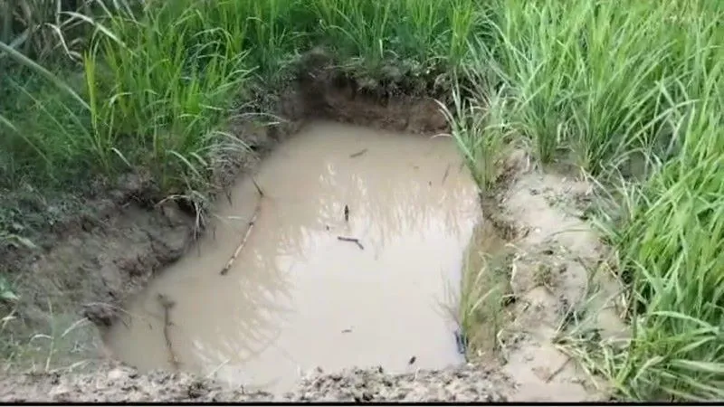 हरदोई : चार वर्षीय बालक की पानी से भरे गड्ढे में डूब कर हुई दर्दनाक मौत