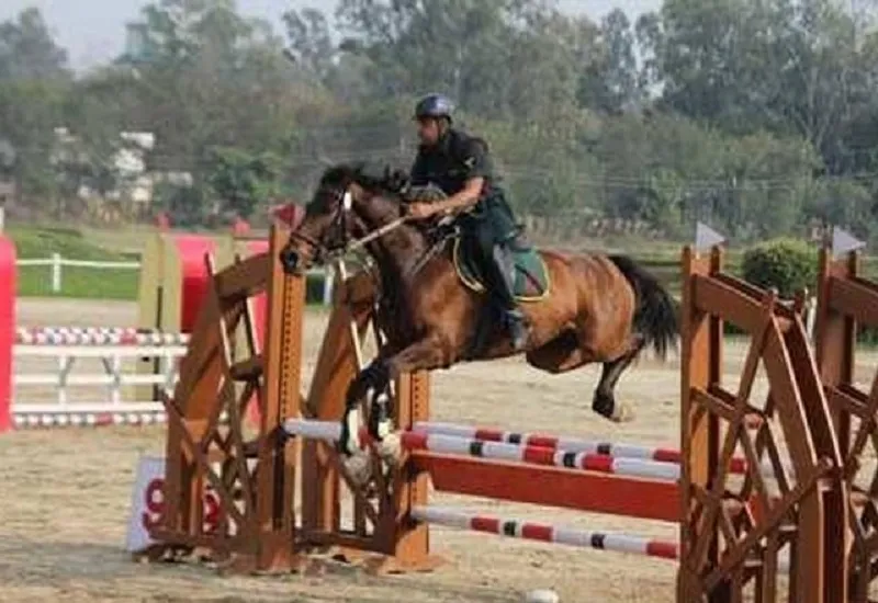 Asian Games : फंड की कमी से ट्रेनिंग रुकी, घुड़सवारों ने मदद के लिए ईएफआई और सरकार से किया संपर्क