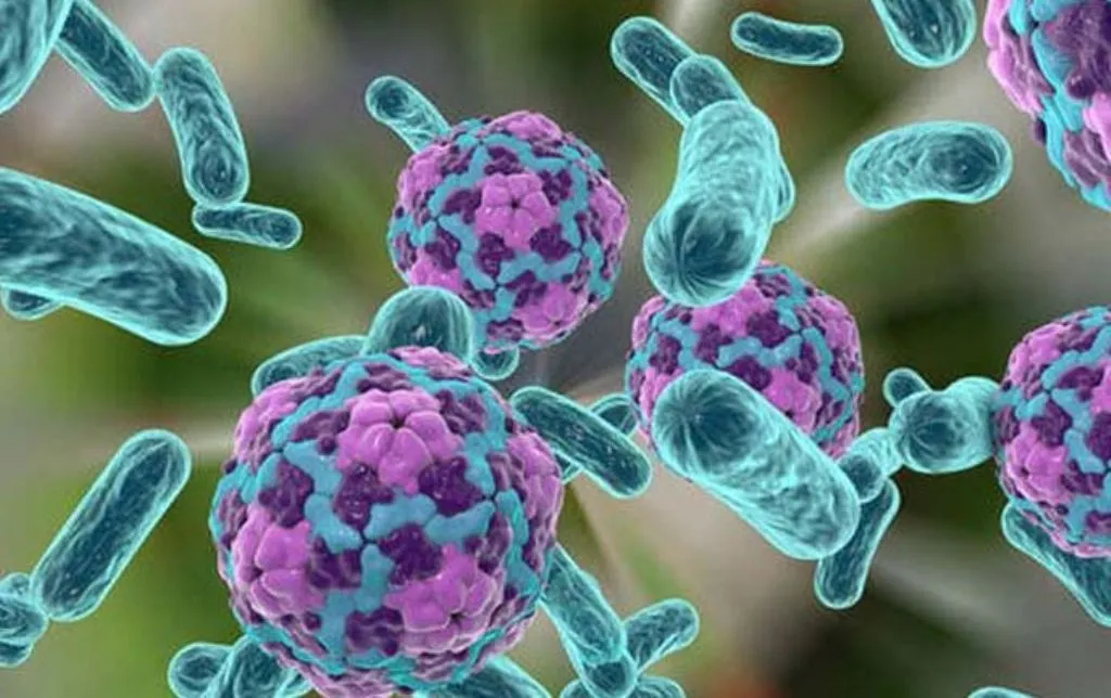 सोमालिया में हैजा से 30 लोगों की मौत, डब्ल्यूएचओ ने तेज की गतिविधियां 