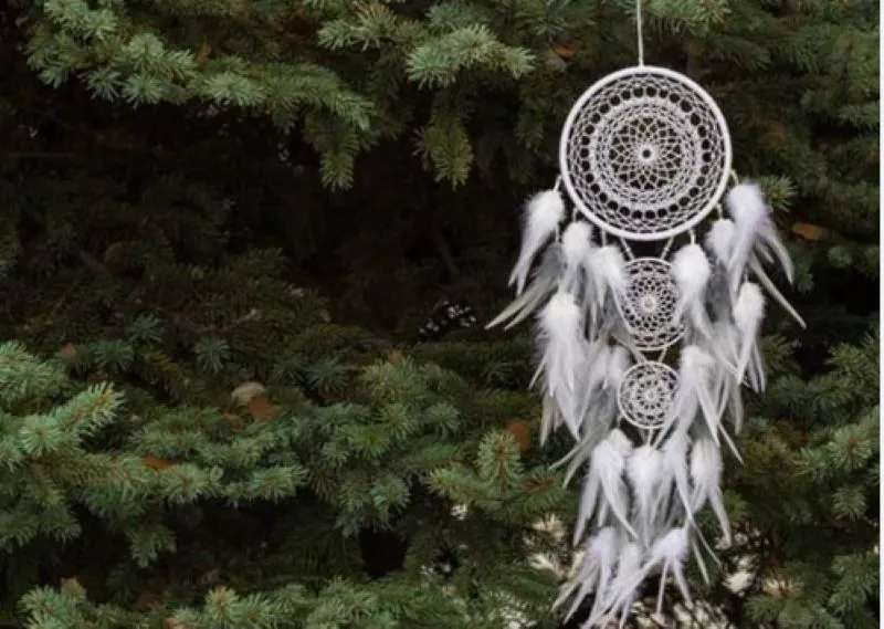 Dream Catcher: क्या ड्रीम कैचर है सिर्फ सजावट का आइटम या कुछ और है इसका उद्देश्य  