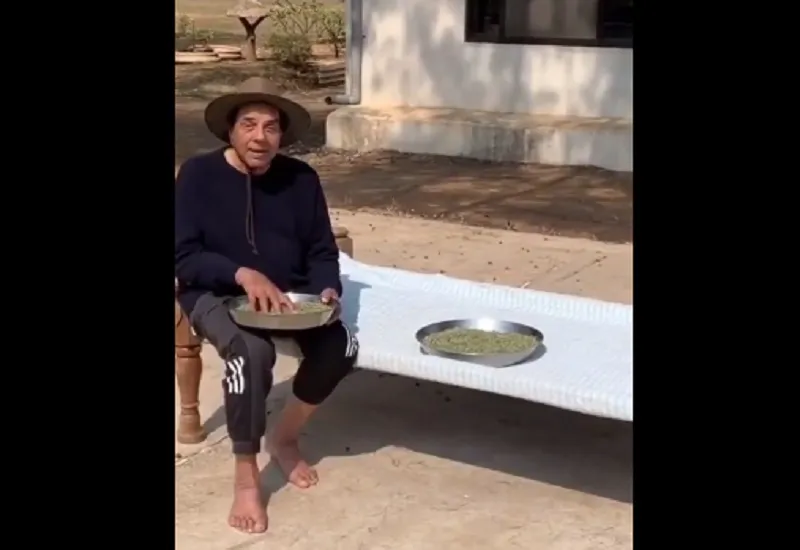 VIDEO : गांव में क्वालिटी टाइम बिता रहे हैं धर्मेंद्र, खाट पर बैठ सुखाई मेथी, बोले- पराठा बनेंगे