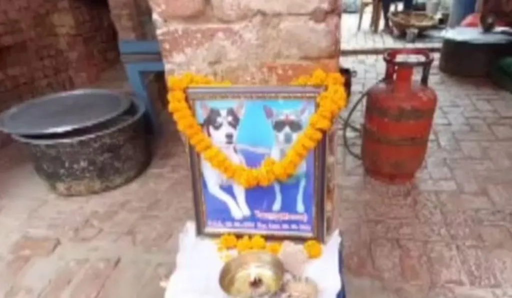 कुत्ते की मौत पर रो पड़ा पूरा गांव... तेरहवीं पर कराया ब्रह्म भोज, लोग बोले- वो कुत्ता जरूर था, पर आदमी की तरह... 