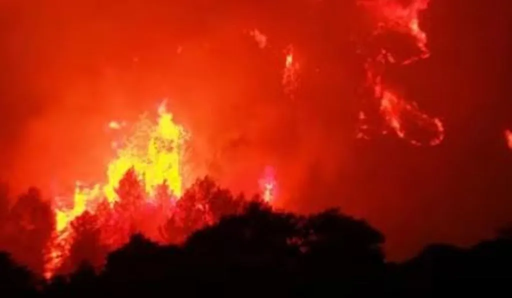 फ्रांस के जंगल में लगी आग, 3000 लोगों को निकाला गया 