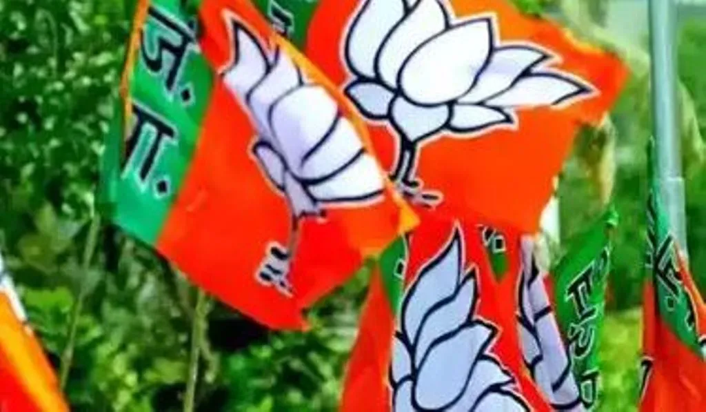 बरेली: बीजेपी ने शिम्पी को जिला पंचायत सदस्य की रिक्त सीट पर मैदान में उतारा