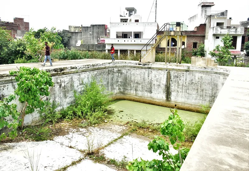 मुरादाबाद : 28 साल से बदहाल केजीके कॉलेज का तरणताल, चारों ओर फैली है गंदगी और उग रही हैं बड़ी-बड़ी घासें