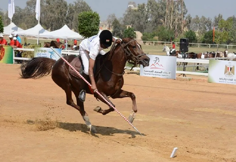 भारतीय टेंट पेगिंग टीम के राइडरों ने कहा- परिस्थितियों में अचानक बदलाव के कारण स्वर्ण से चूक गए 