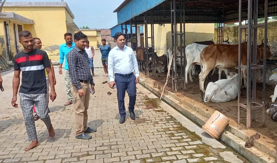 पीलीभीत: तिरपाल से ढका  मिला मृत गोवंश, दो बीमार, चारा काटने की मशीन भी खराब