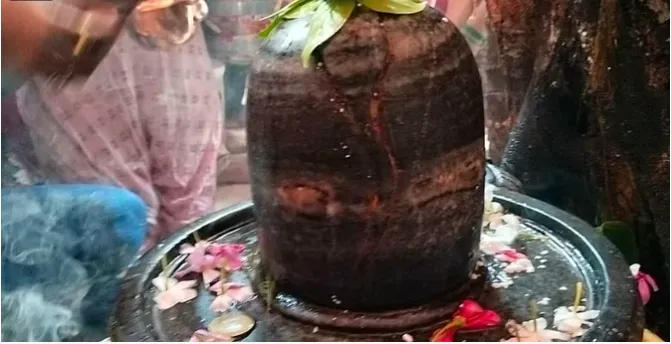 रुद्रपुर: लोगों को दिखा भोले बाबा का चमत्कार, जलाभिषेक करते हुए शिवलिंग में दिखी आंख  