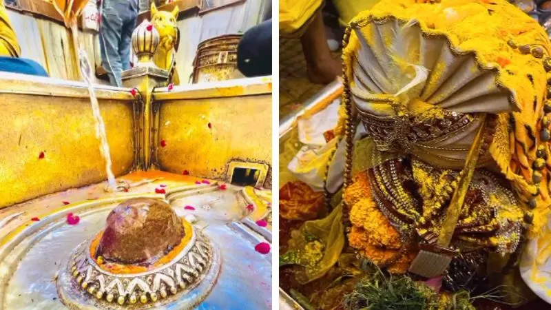 Sawan 8th Somwar 2023: सावन का आठंवा सोमवार आज, स्नान के बाद भक्त कर रहे बाबा के दर्शन