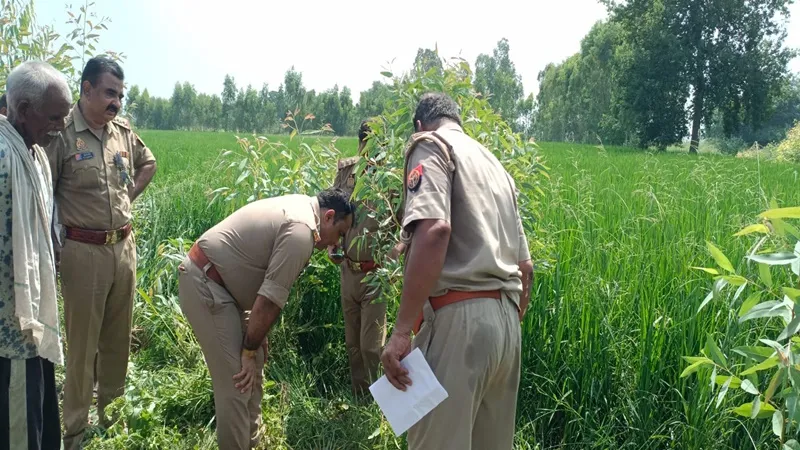 हारदोई: खेत की मेढ़ पर मिला पूर्व प्रधान का शव, परिजनों ने जताई हत्या की आशंका
