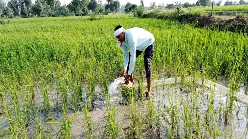 अयोध्या: दस दिनों में हो गई 90 फीसदी बरसात, फसलों का हलक सूखा