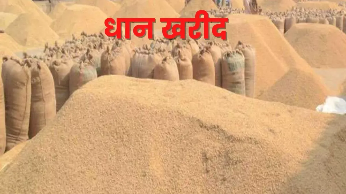 रुद्रपुर: आरएफसी विभाग ने धान खरीद को लेकर की तैयारी शुरू