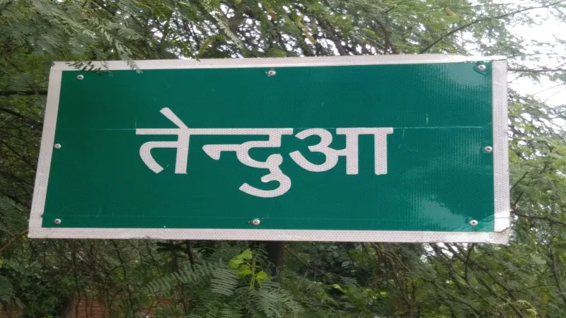अमेठी का एक ऐसा गांव जहां किसी भी मोबाइल कंपनी का नहीं है नेटवर्क !                            