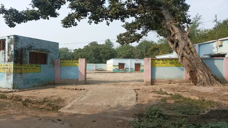 अयोध्या में विद्यालय बना छुट्टा मवेशियों का ठिकाना