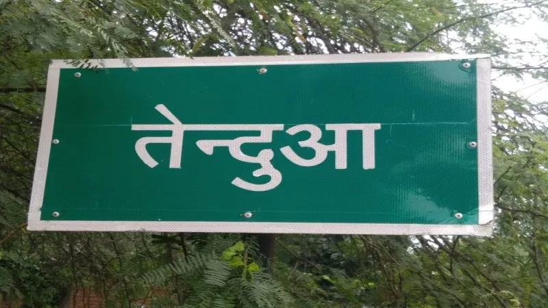 अमेठी : तेंदुआ प्रधान से 57487 रुपये की होगी रिकवरी